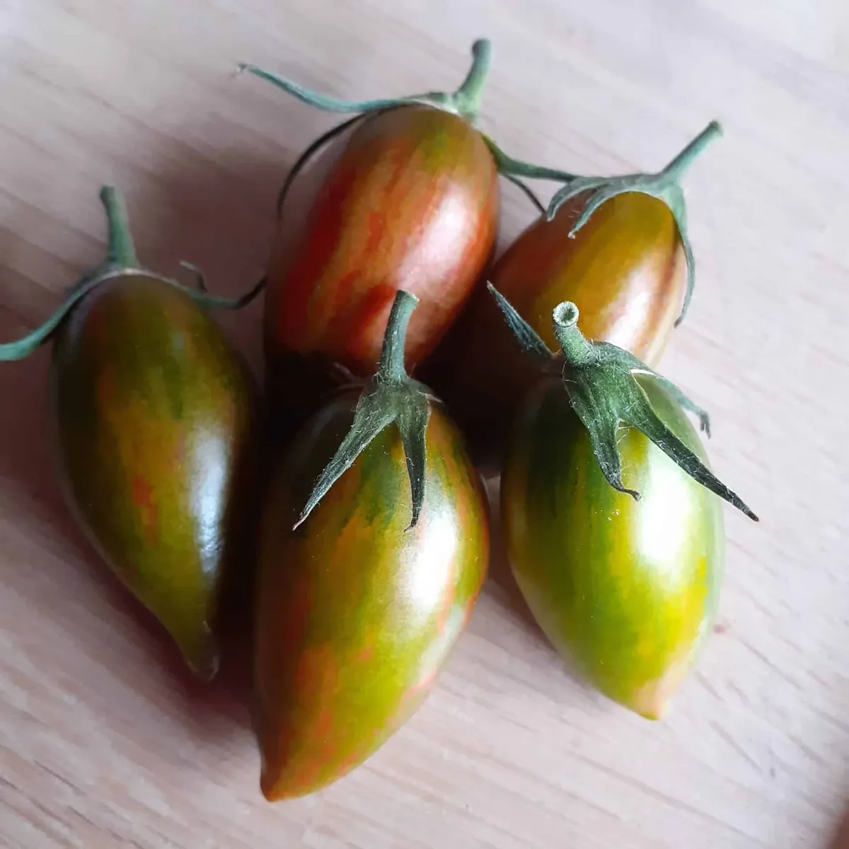 Tomate cocktail Green Ripper