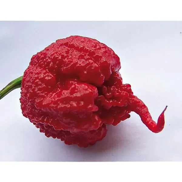 Piment Carolina Reaper