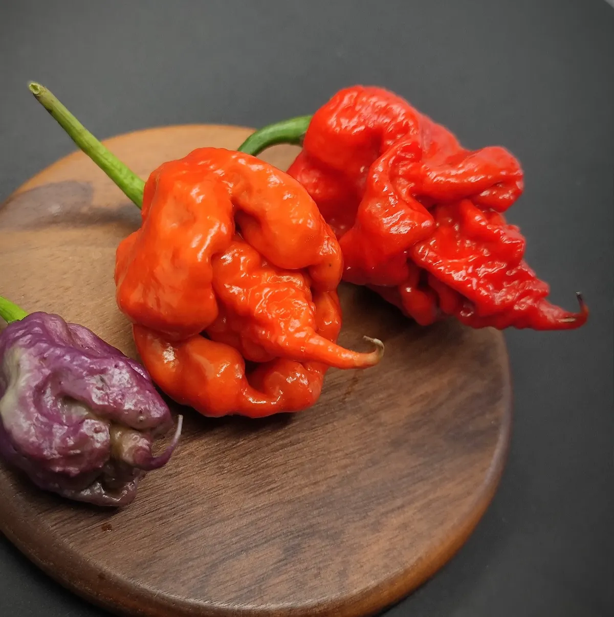Piment Purple Death