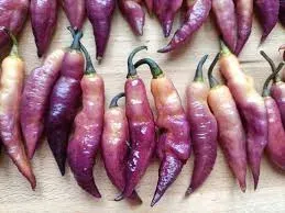 Piment 'Pink Tiger' (alias 'The Dream')