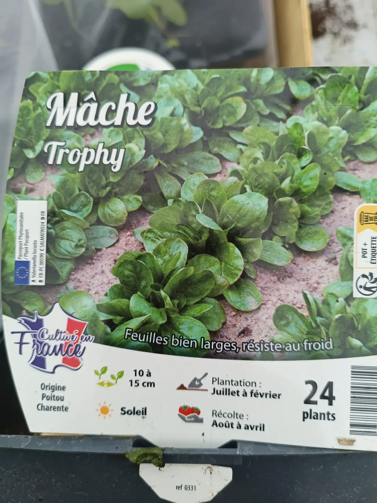 Mâche Trophy