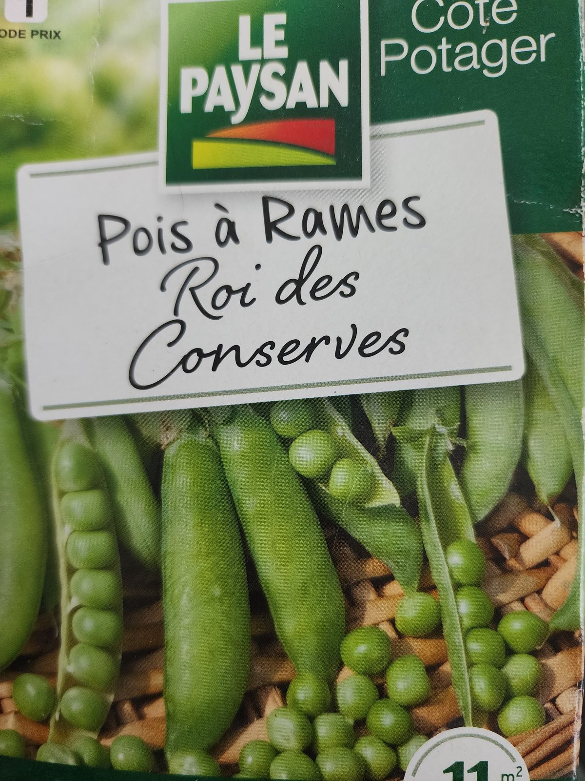 Pois à rames 'Roi des conserves'