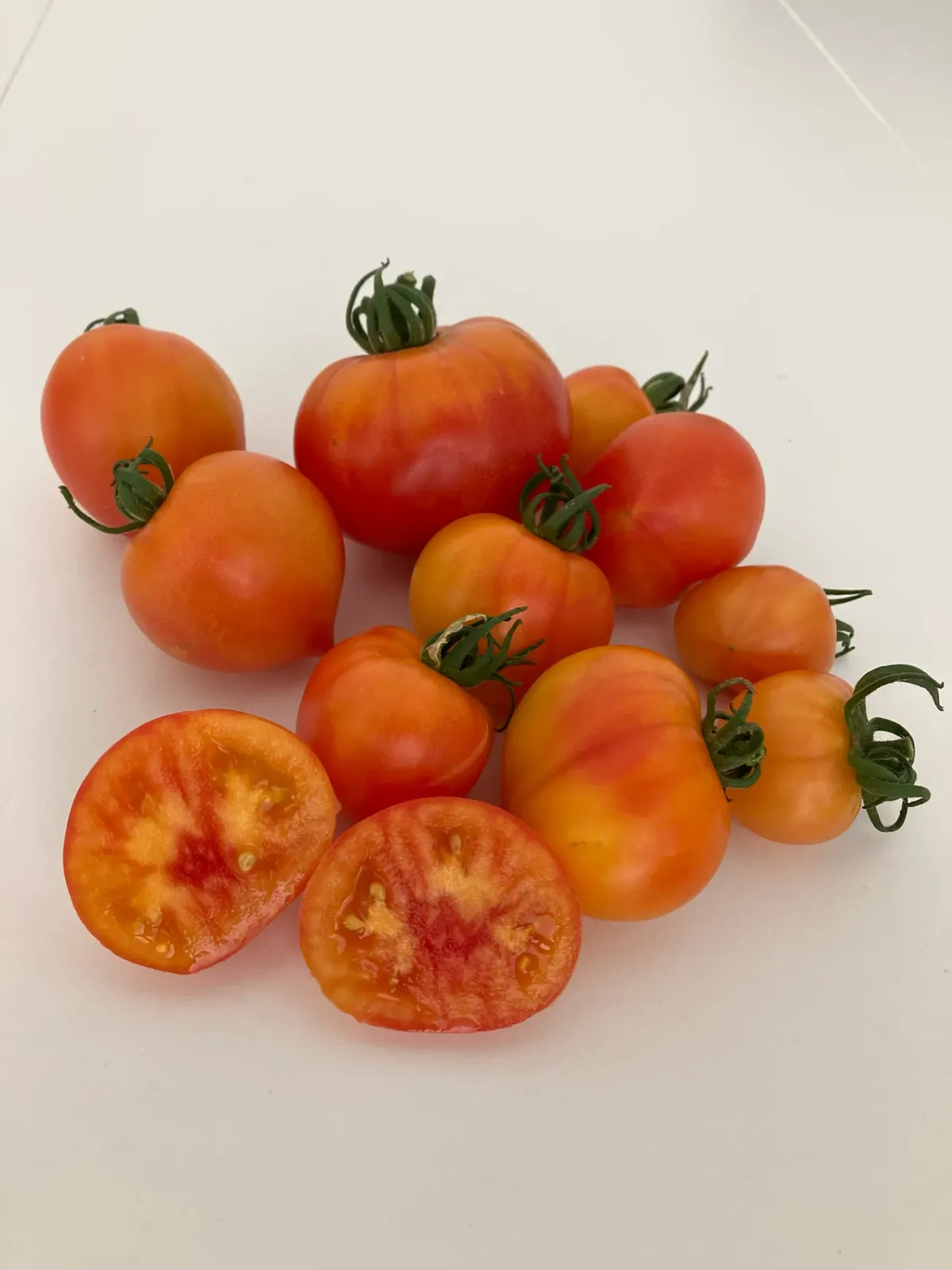 Tomate cocktail Karma Peach