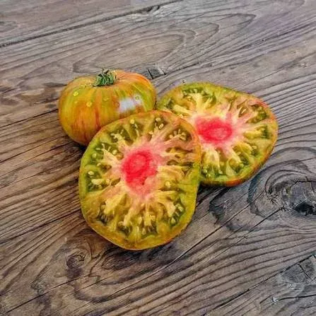 Tomate Summer of Love