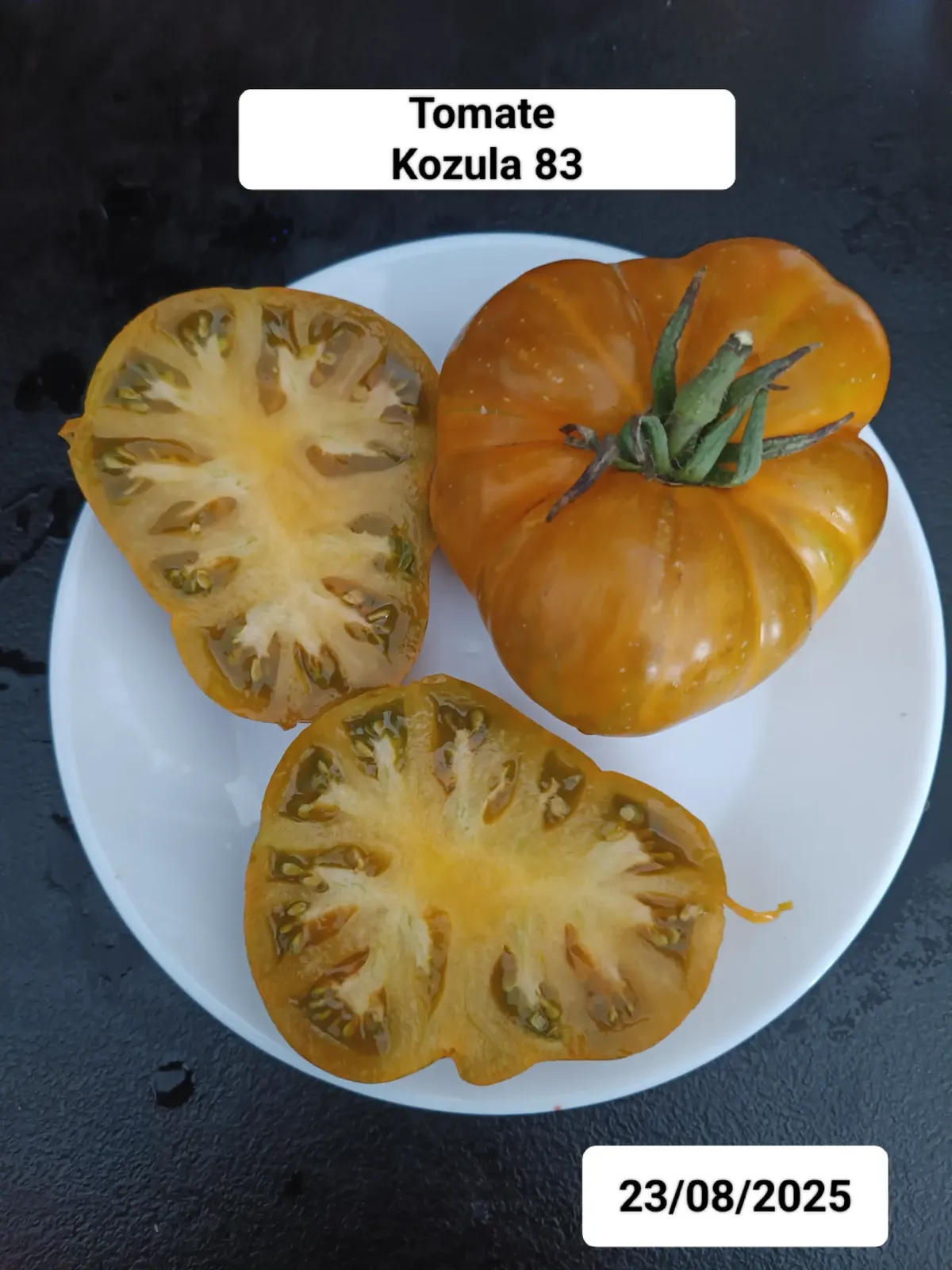 Tomate Kozula 83