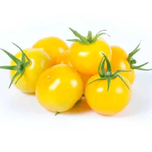 Tomate Cocktail Jaune