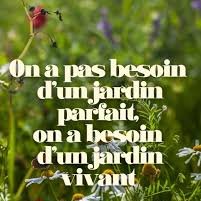 cotissois