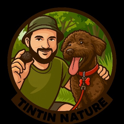 tintin8