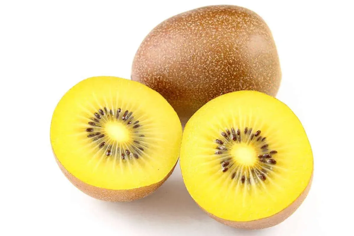 Kiwi jaune (Actinidia chinensis)