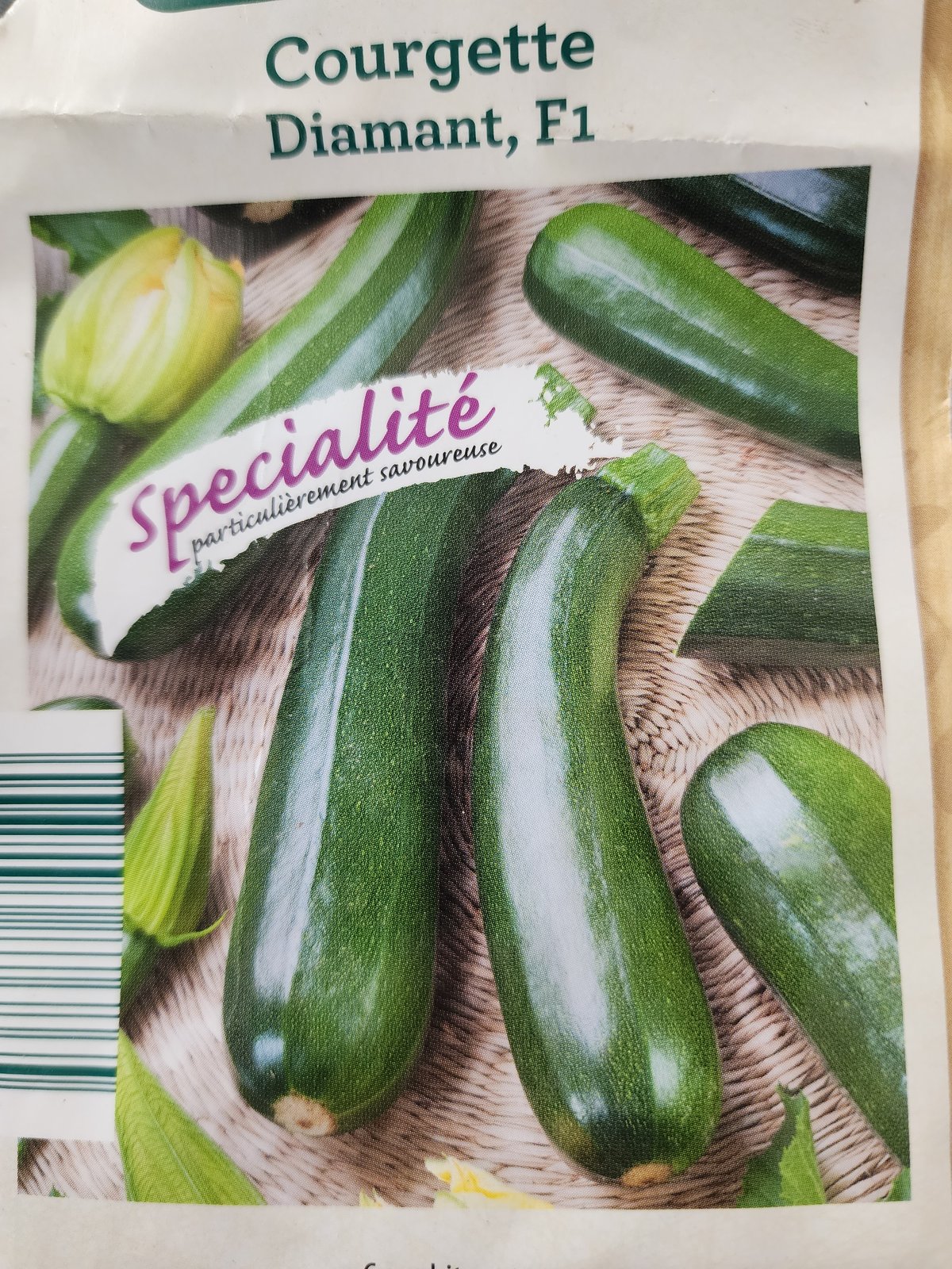 Courgette Diamant F1