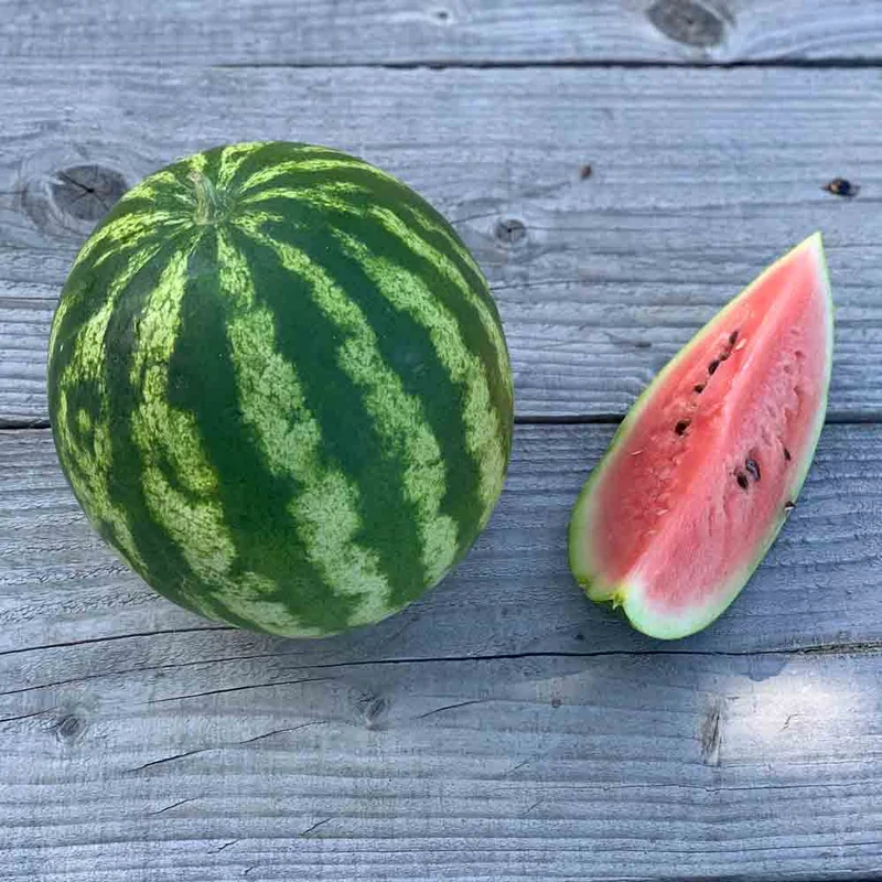 Pastèque Crimson Sweet