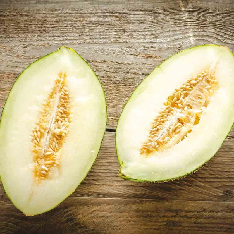 Melon Vert D'espagne Pinonet Ou Piel De Sapo