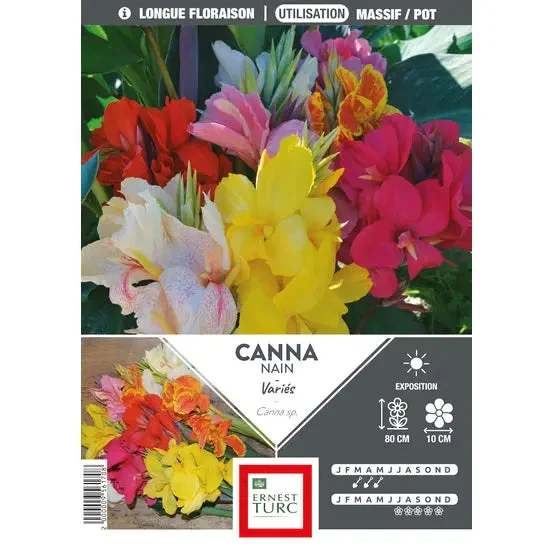 Canna Nain Mélange
