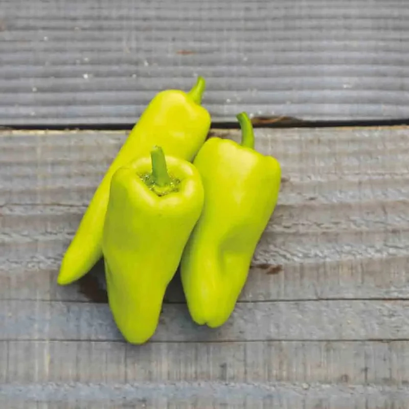 Poivron Sweet Banana Jaune Clair