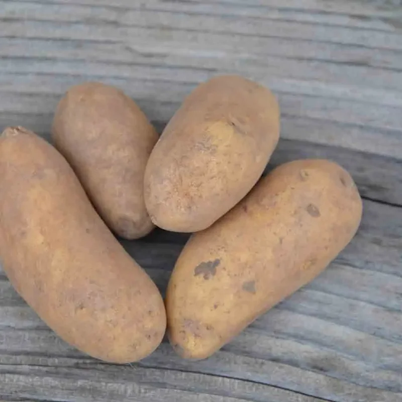 Pomme De Terre Amandine