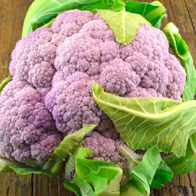 Chou-fleur Violet De Sicile