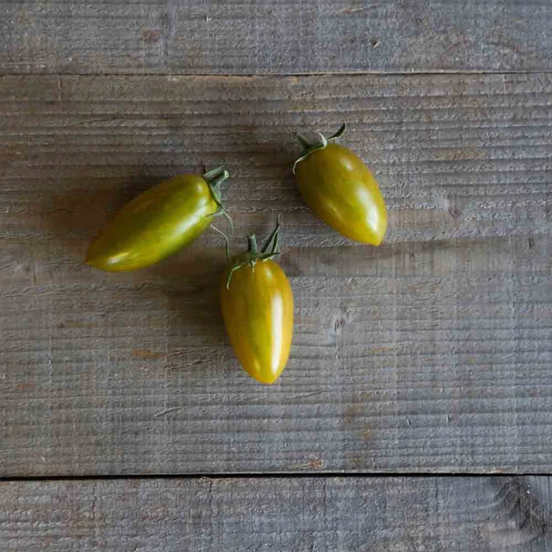 Tomate Artisan Green Tiger