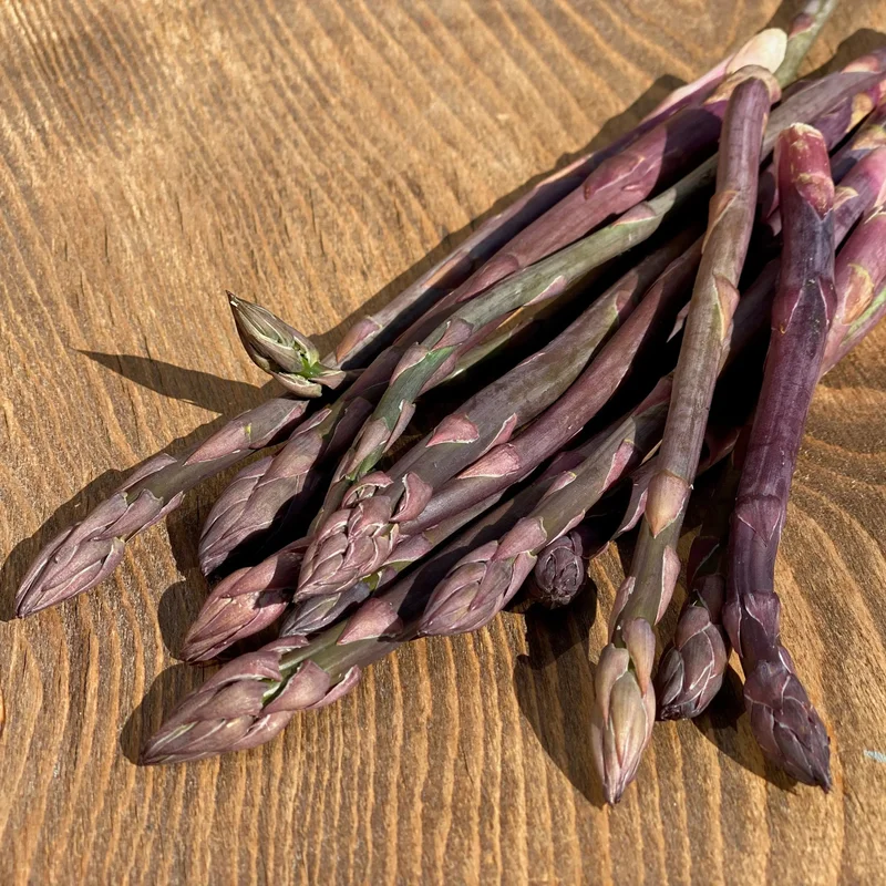Asperge Violette (Rosalie)