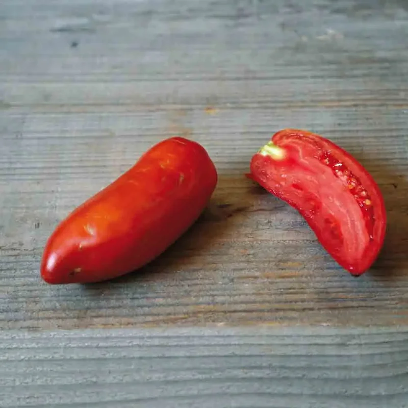Tomate Opalka