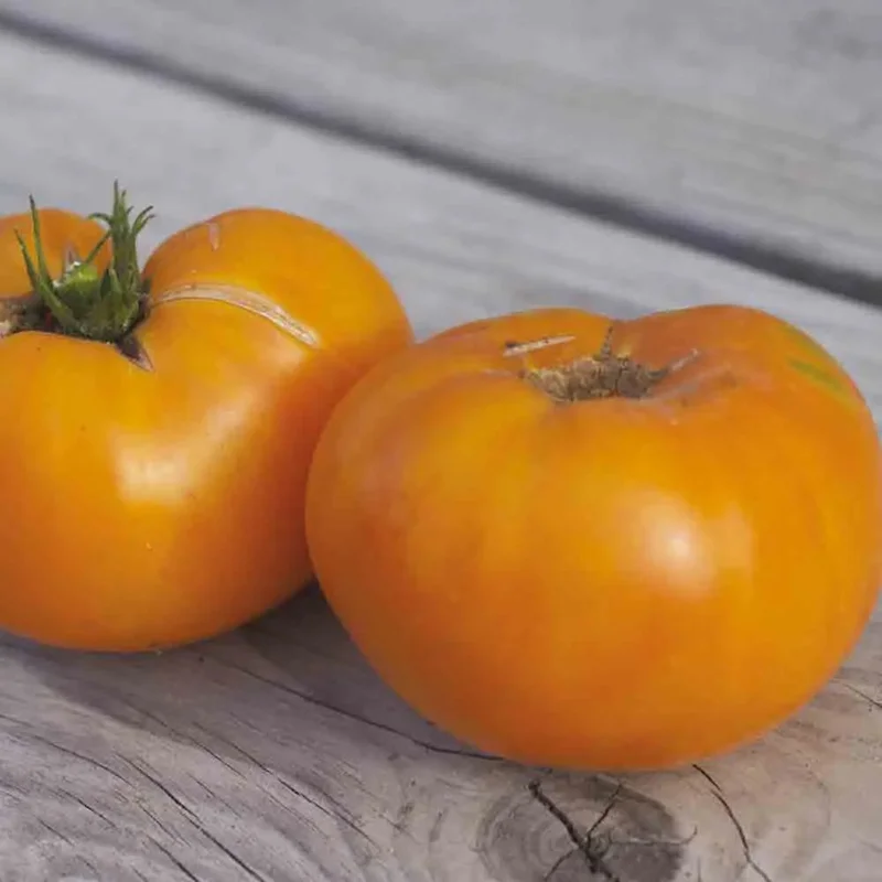 Tomate Kellogg's Breakfast