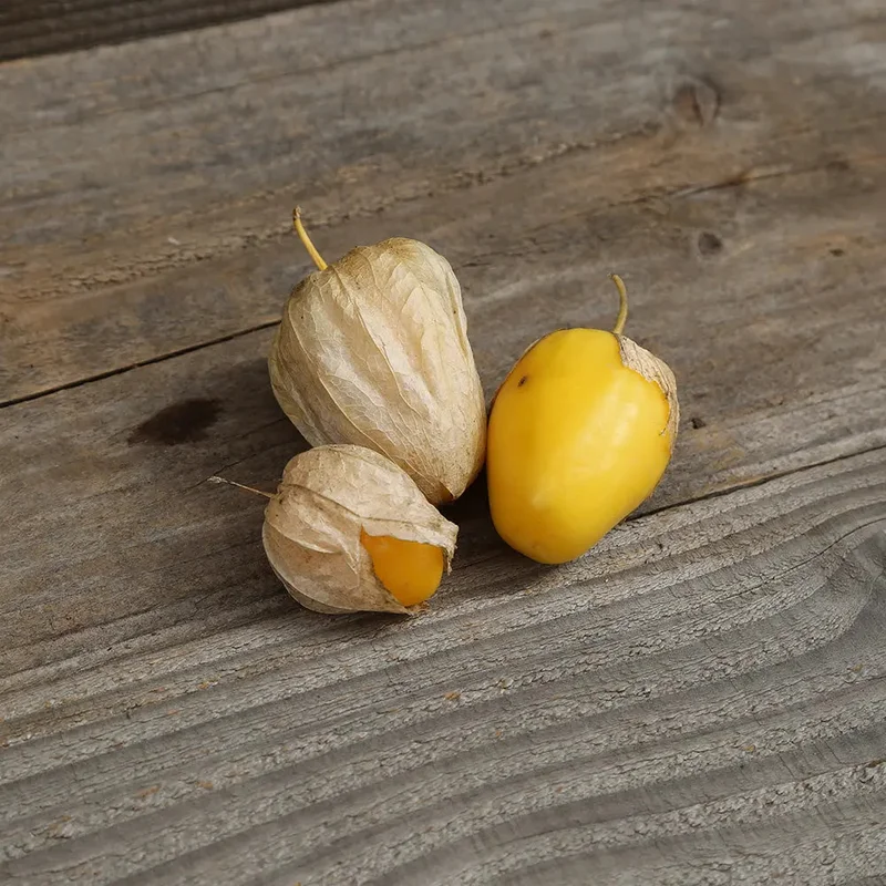 Tomatillo Queen Of Malinalco