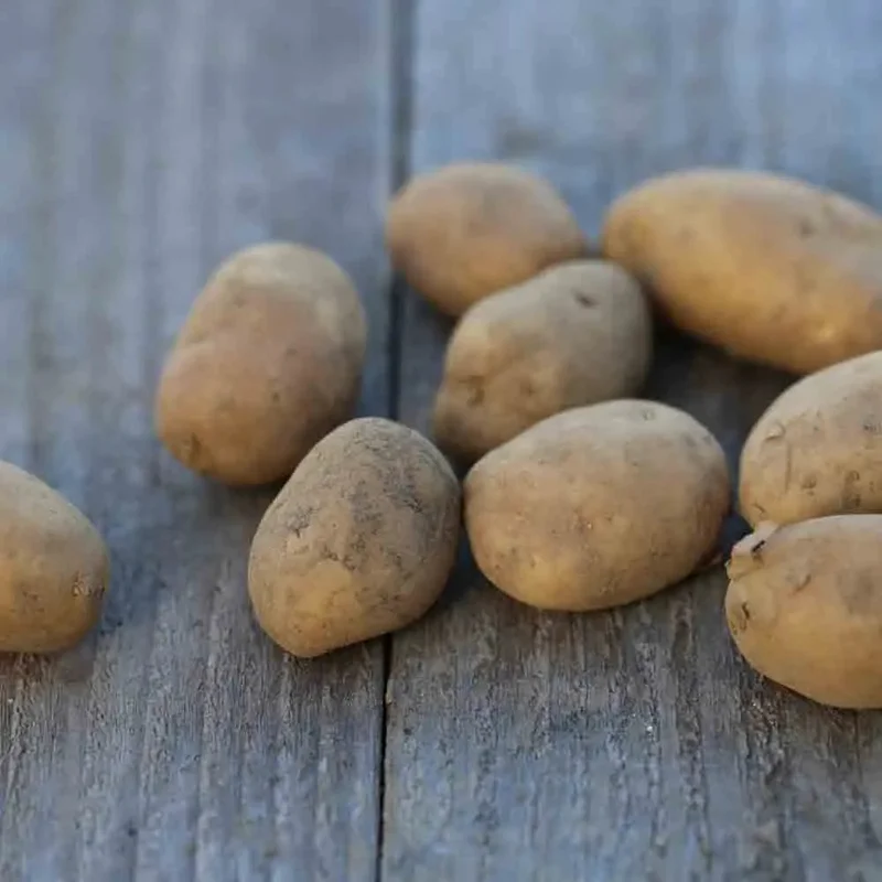 Pomme De Terre Pompadour