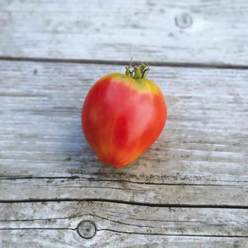 Tomate German Red Strawberry