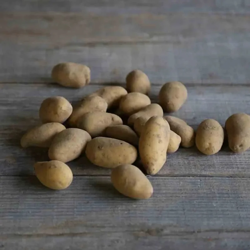 Pomme De Terre Minette