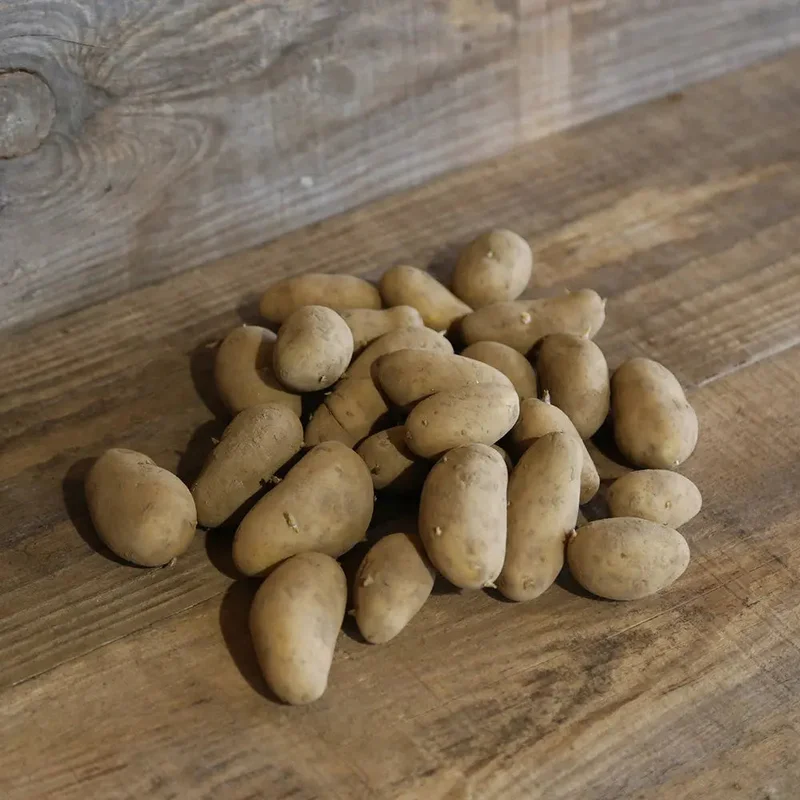 Pomme De Terre Nawen® (Variété Maldive)