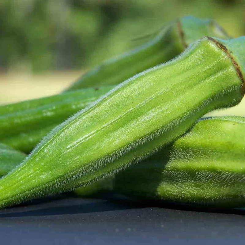 Okra Gombo Clemson Spineless