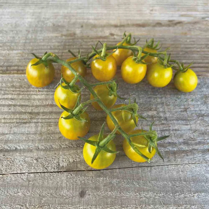 Tomate Green Grape