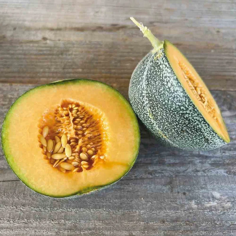 Melon Petit Gris De Rennes