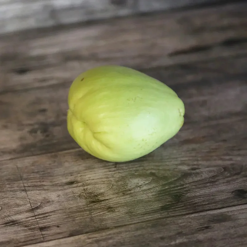 Christophine - Chayotte Verte