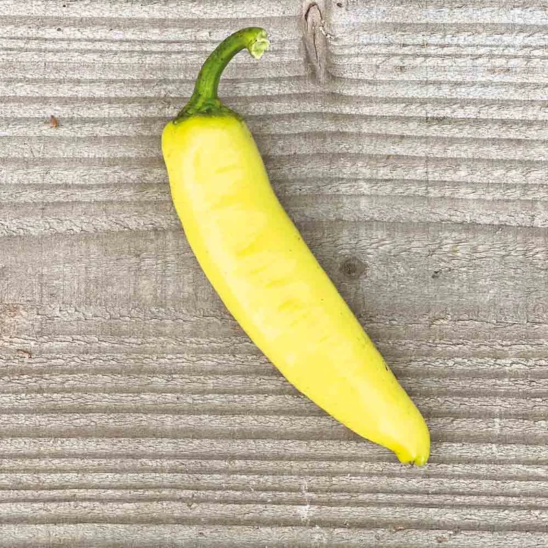 Poivron Sweet Banana