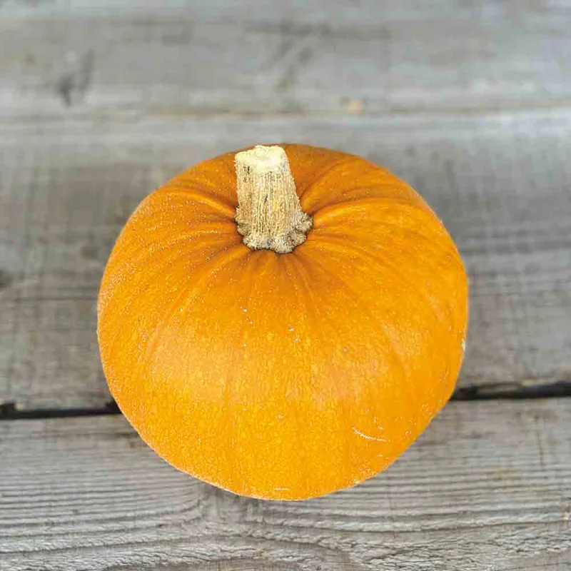 Courge Petite Sucree