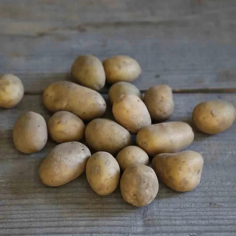 Pomme De Terre Ecrin