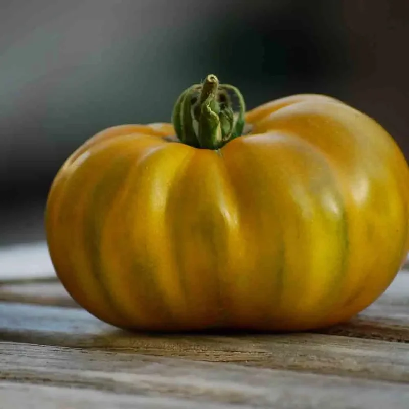 Tomate Evergreen