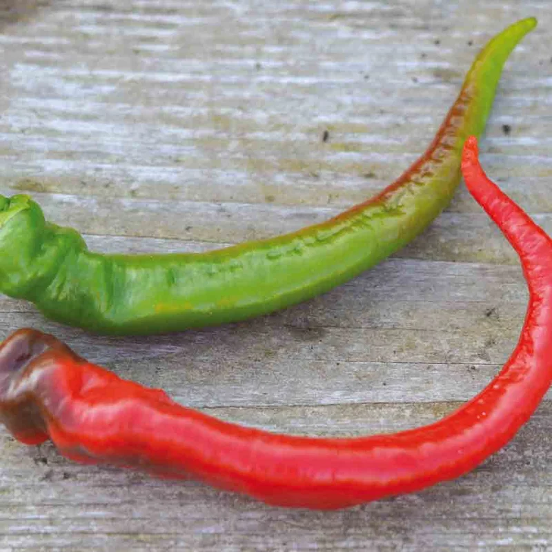 Poivron Doux Tres Long Des Landes