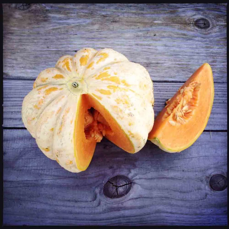 Melon Delice De La Table