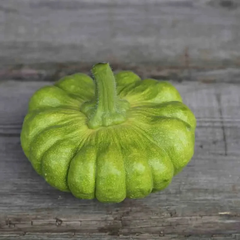 Courge Musquee Yuxijiangbinggua