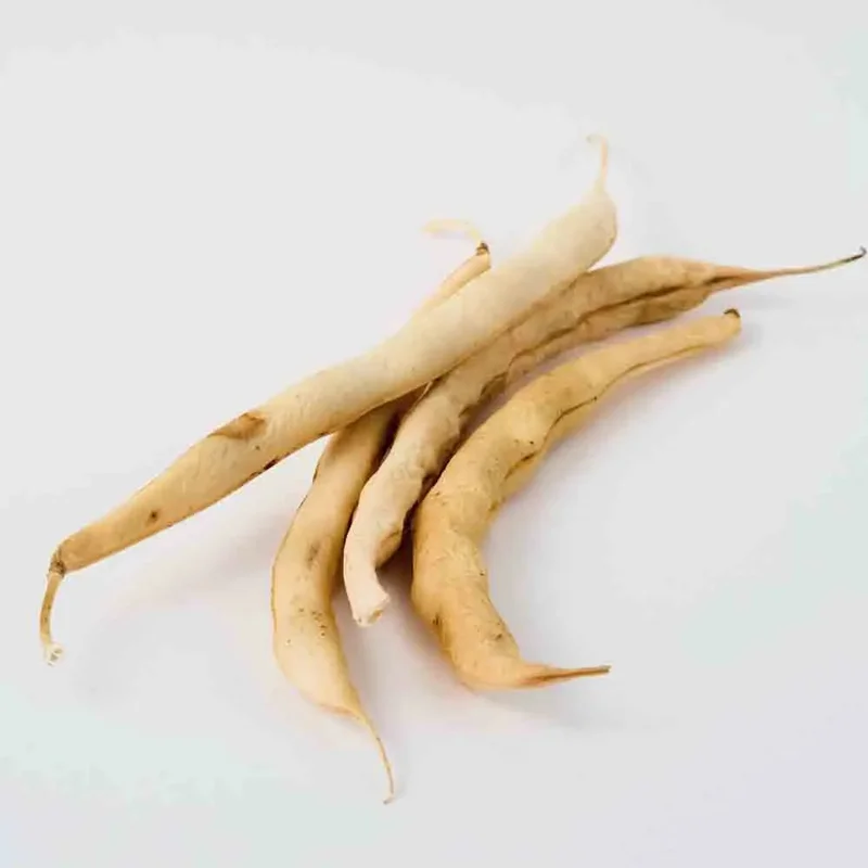 Haricot Nain Mogex A Ecosser