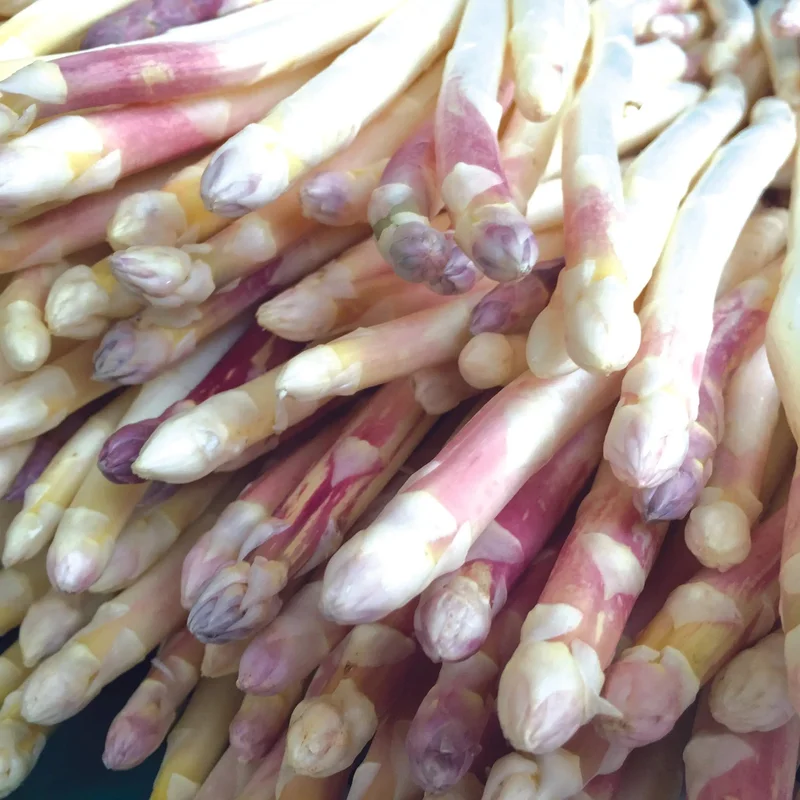 Asperge Argenteuil