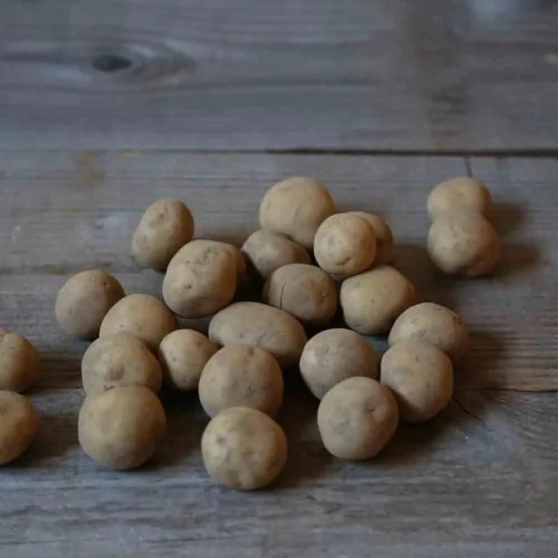 Pomme De Terre Twister