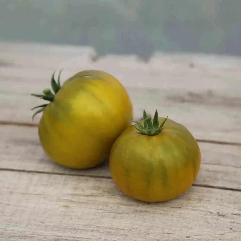 Tomate Green Pineapple