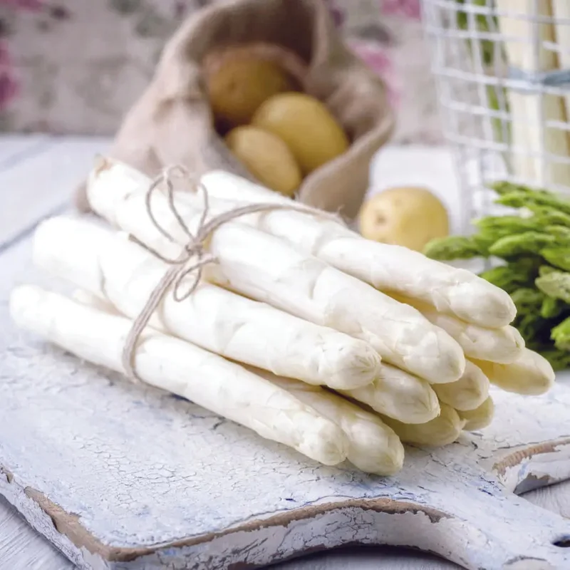 Asperge Blanche Lolita (Angela)