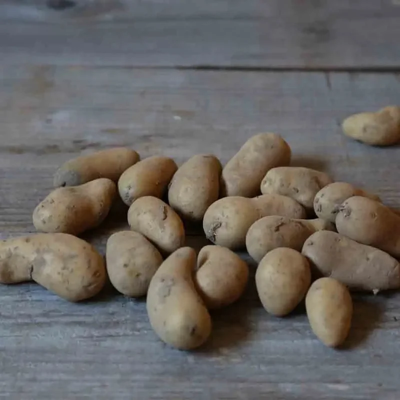 Pomme De Terre Frangine