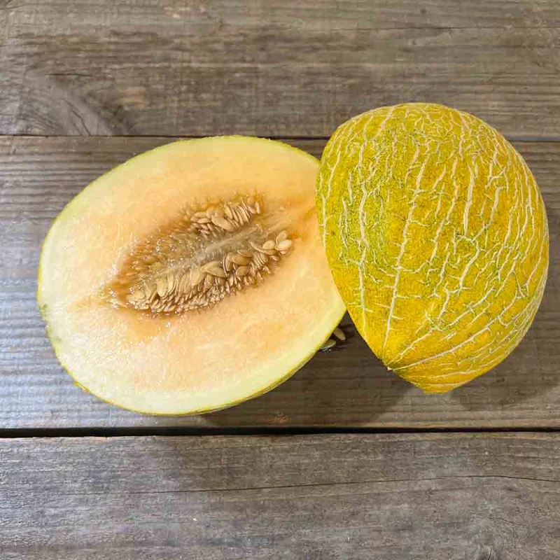 Melon De Cavaillon Espagnol A Chair Rose