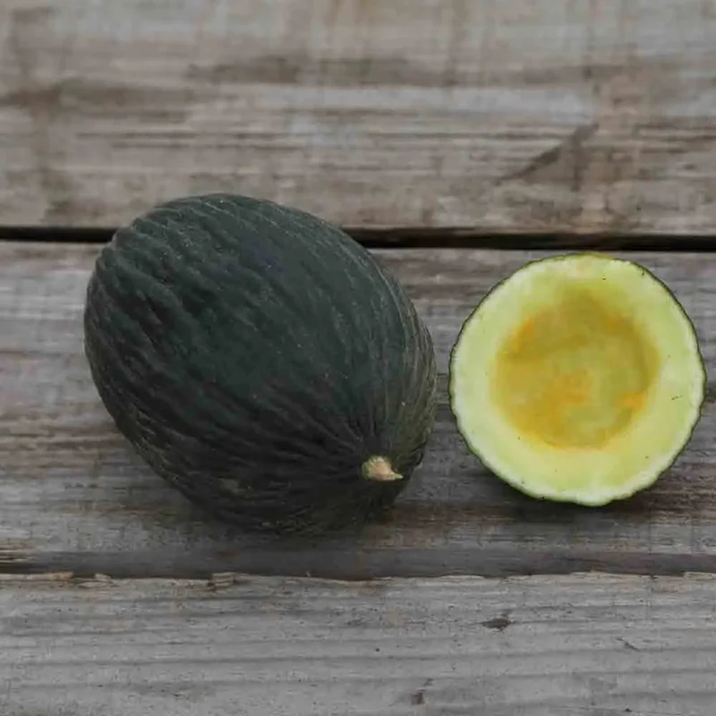 Melon Vert Olive D'hiver