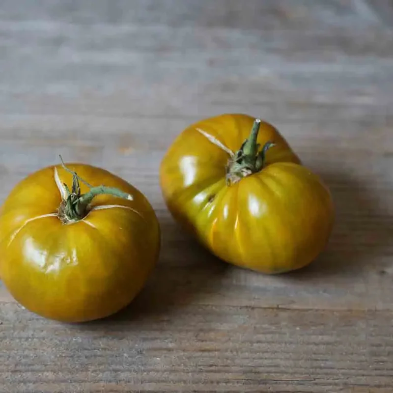 Tomate Green Velvet