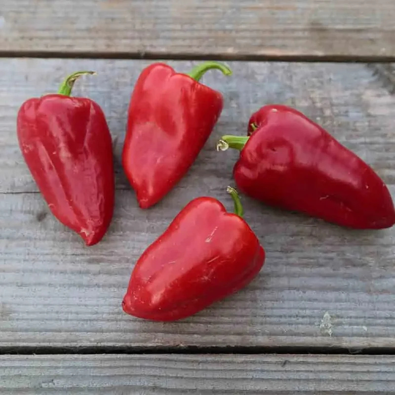 Poivron Caviar Calabrais